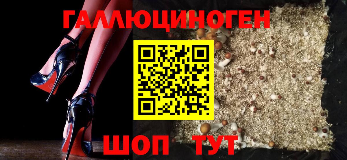 Галлюциногенные грибы Psilocybine cubensis Дербент